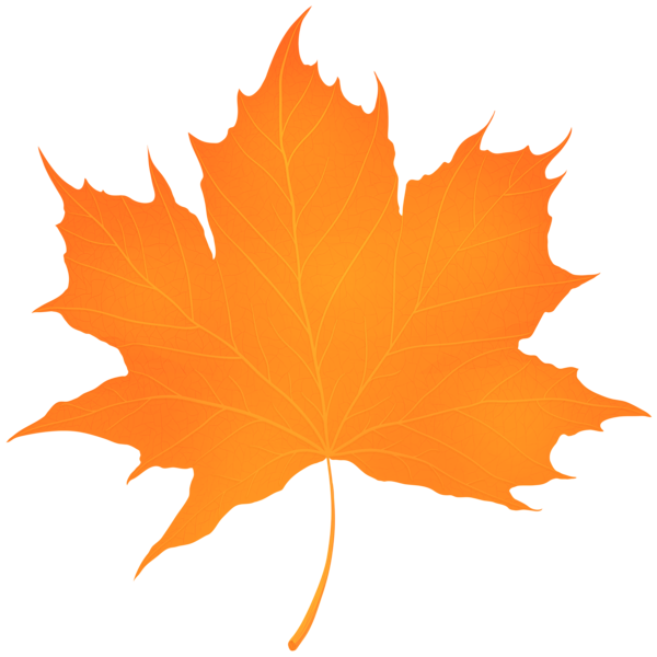 This png image - Autumn Leaf Orange PNG Transparent Clipart, is available for free download