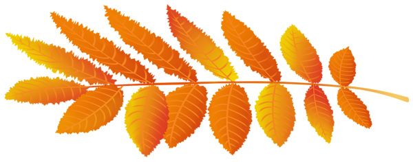 This png image - Autumn Leaf Orange PNG Transparent Clipart, is available for free download