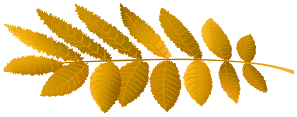 This png image - Autumn Leaf PNG Transparent Clipart, is available for free download