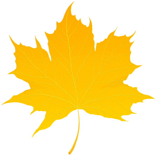 This png image - Autumn Leaf Yellow PNG Transparent Clipart, is available for free download