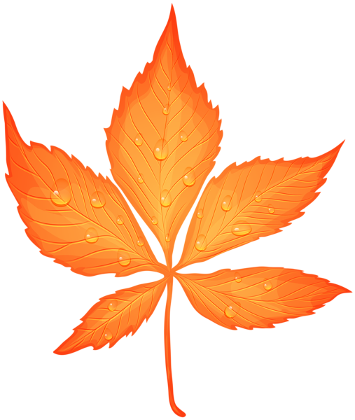 This png image - Autumn Leaf with Dew Drops Transparent PNG Clip Art Image, is available for free download