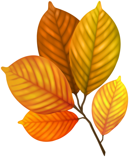 This png image - Autumn Leaves Branch PNG Clipart, is available for free download