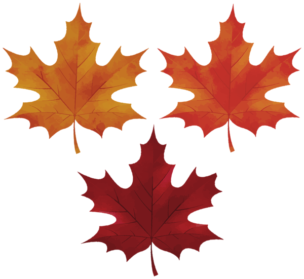 This png image - Autumn Leaves Clipart, is available for free download
