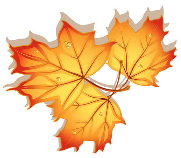 Autumn Leaves Clipart Image | Gallery Yopriceville - High-Quality