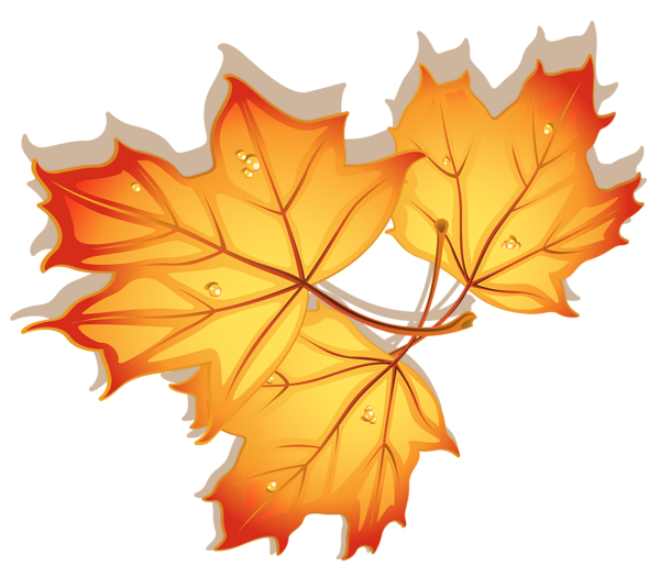Autumn Leaves Clipart Image | Gallery Yopriceville - High-Quality Free
