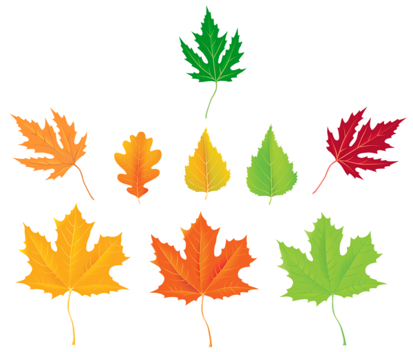 This png image - Autumn Leaves Collection PNG Clipart Image, is available for free download