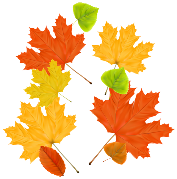 This png image - Autumn Leaves Decor PNG Clipart Image, is available for free download