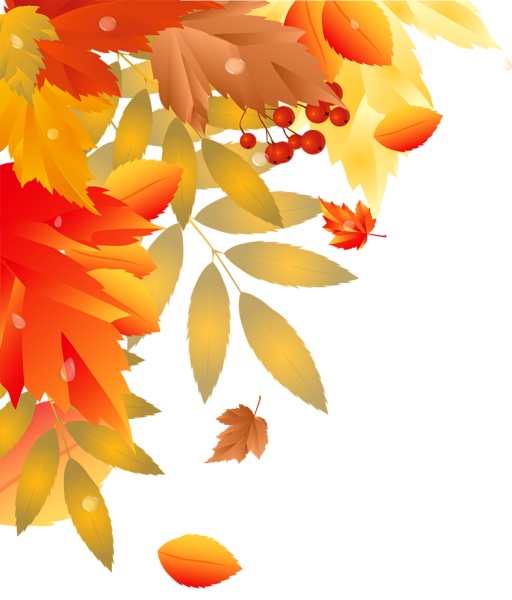 Autumn Leaves Decoration PNG Image | Gallery Yopriceville ...