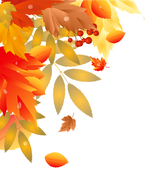 This png image - Autumn Leaves Decoration PNG Image, is available for free download
