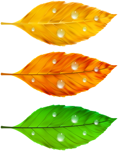 This png image - Autumn Leaves PNG Clip Art, is available for free download
