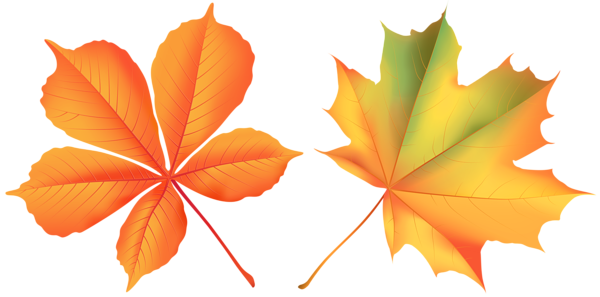 Autumn Leaves PNG Clip Art Image | Gallery Yopriceville - High-Quality ...