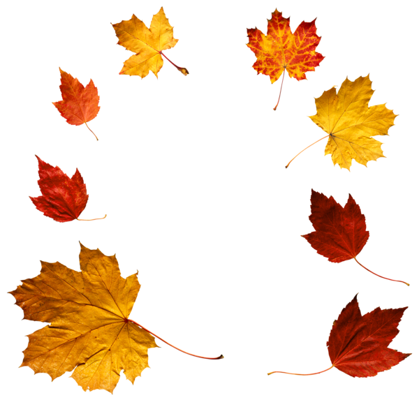 This png image - Autumn Leaves PNG Clipart, is available for free download
