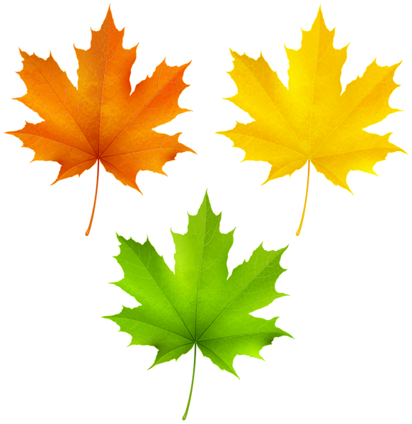 This png image - Autumn Leaves PNG Clipart, is available for free download