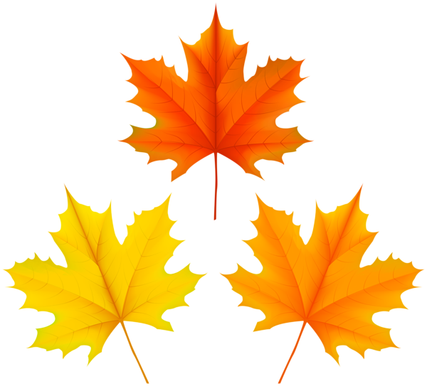 This png image - Autumn Leaves PNG Set Clipart, is available for free download
