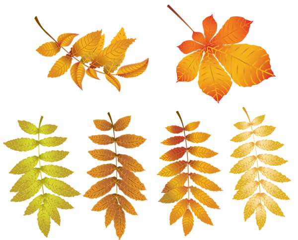 This png image - Autumn Leaves PNG Transparent Clip Art Image, is available for free download