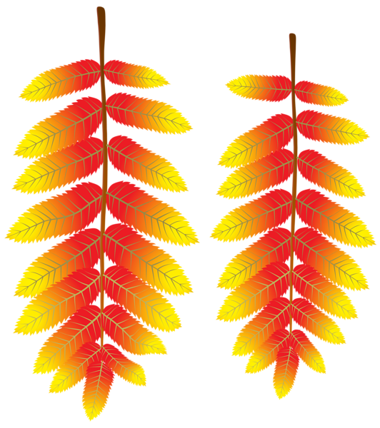 This png image - Autumn Leaves PNG Transparent Clipart, is available for free download