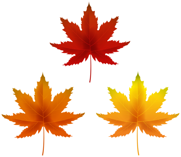 This png image - Autumn Leaves Set Clipart, is available for free download