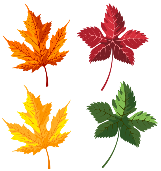 This png image - Autumn Leaves Set Clipart PNG Image, is available for free download