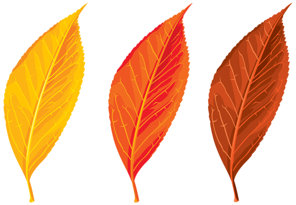 This png image - Autumn Leaves Set Clipart PNG Image, is available for free download
