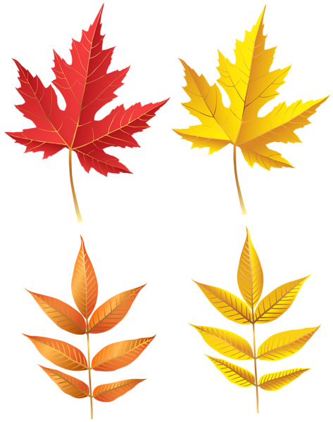 This png image - Autumn Leaves Set PNG Clip Art, is available for free download