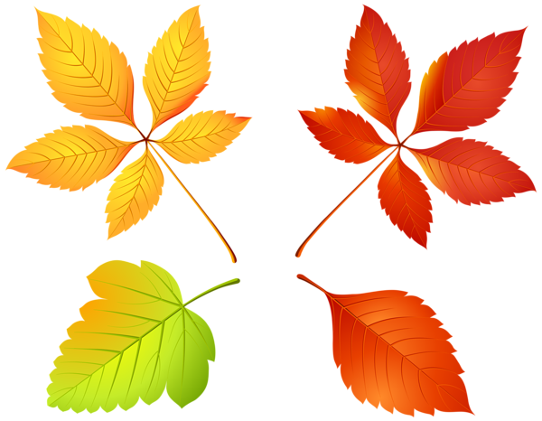 This png image - Autumn Leaves Set PNG Clip Art Image, is available for free download