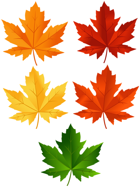 This png image - Autumn Leaves Set PNG Clip Art Image, is available for free download