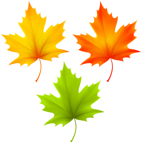 This png image - Autumn Leaves Set PNG Clipart, is available for free download