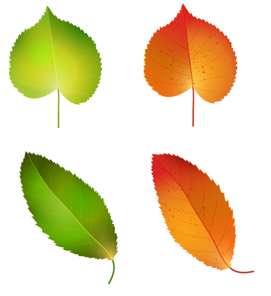 This png image - Autumn Leaves Set PNG Clipart Image, is available for free download
