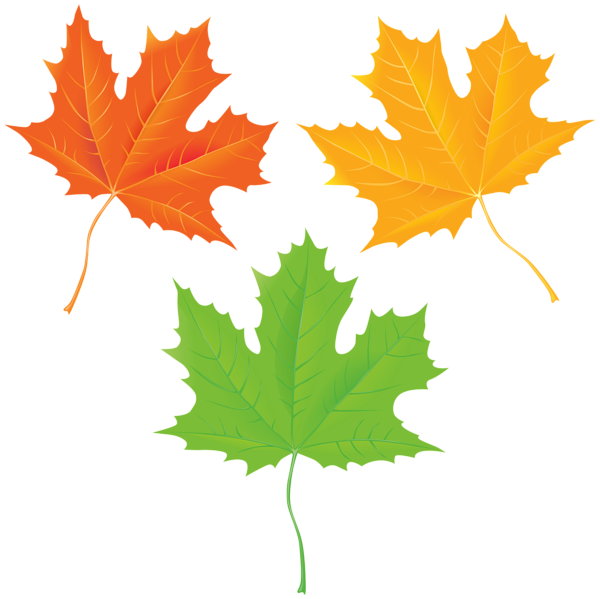 This png image - Autumn Leaves Transparent Clip Art Image, is available for free download