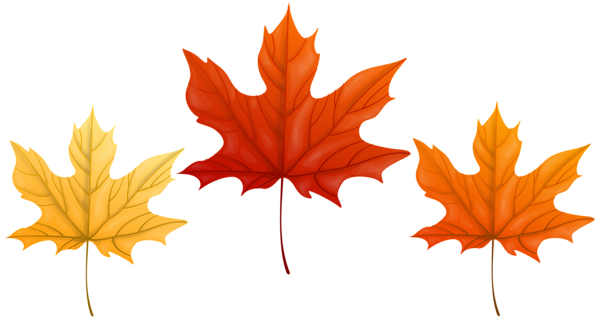 This png image - Autumn Leaves Transparent PNG Clip Art Image, is available for free download