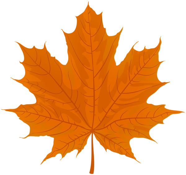 This png image - Autumn Orange Leaf PNG Clipart, is available for free download