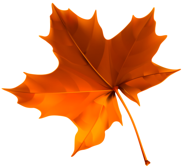 This png image - Autumn Red Leaf PNG Clipart Image, is available for free download