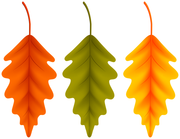 This png image - Autumn Set Leaves PNG Clipart, is available for free download