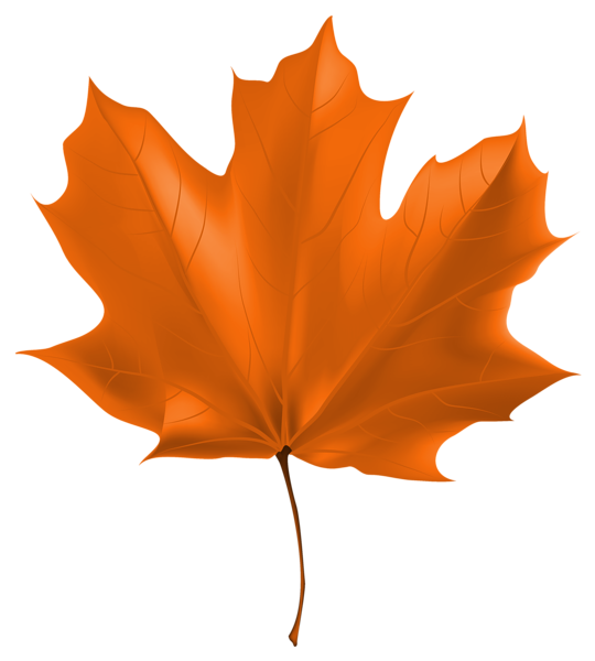 Beautiful Autumn Leaf PNG Clipart Image | Gallery Yopriceville - High ...
