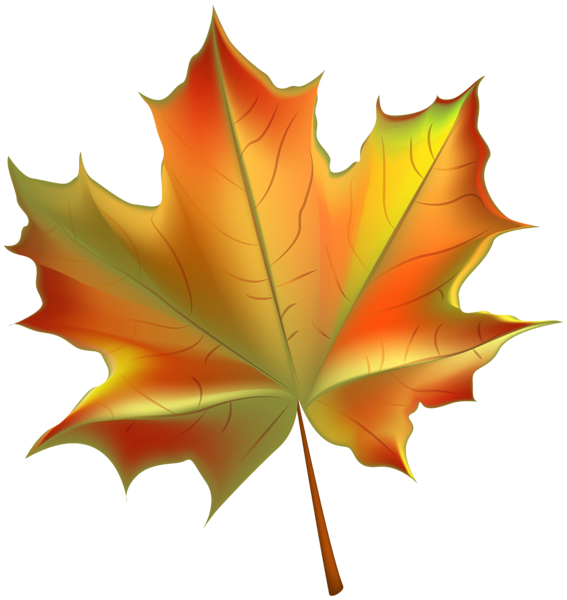 This png image - Beautiful Autumn Leaf Transparent PNG Clip Art Image, is available for free download