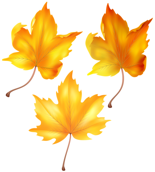 Beautiful Autumn Leaves PNG Clip Art | Gallery Yopriceville - High ...