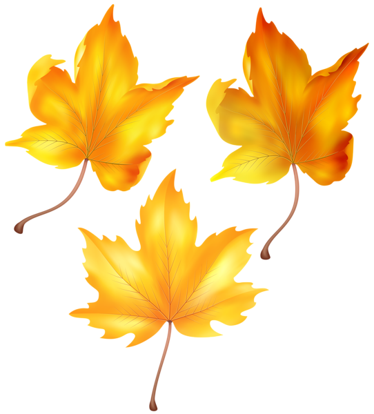 This png image - Beautiful Autumn Leaves PNG Clip Art, is available for free download