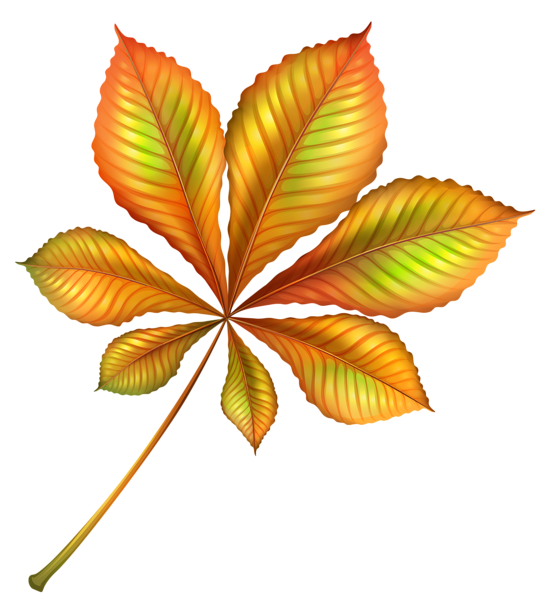 Beautiful Autumn Orange Leaf PNG Clipart Image | Gallery ...