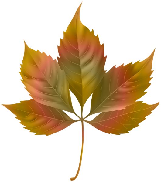 Beautiful Colorful Autumn Leaf PNG Clipart | Gallery Yopriceville ...