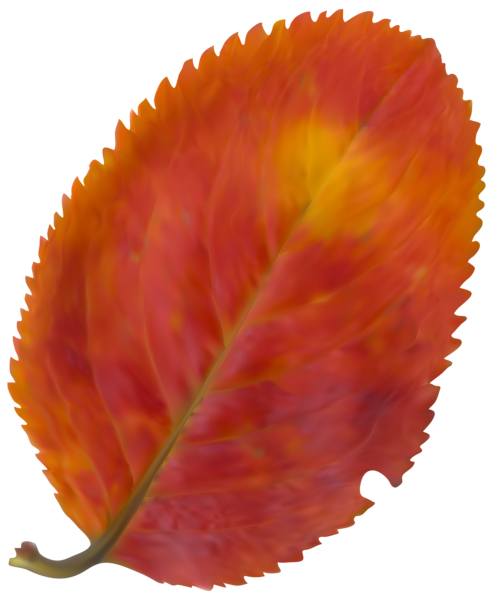 This png image - Beautiful Fall Leaf PNG Clipart Image, is available for free download