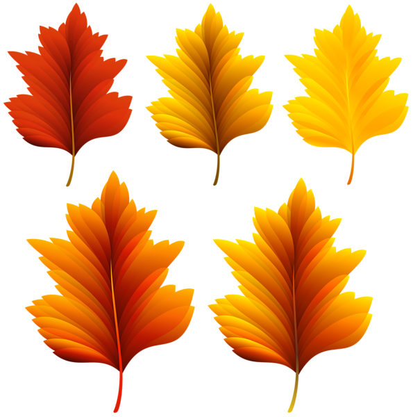 This png image - Beautiful Fall Leaves Set PNG Clipart Image, is available for free download