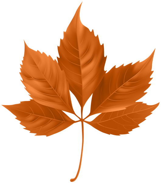 This png image - Beautiful Orange Fall Leaf PNG Clipart, is available for free download