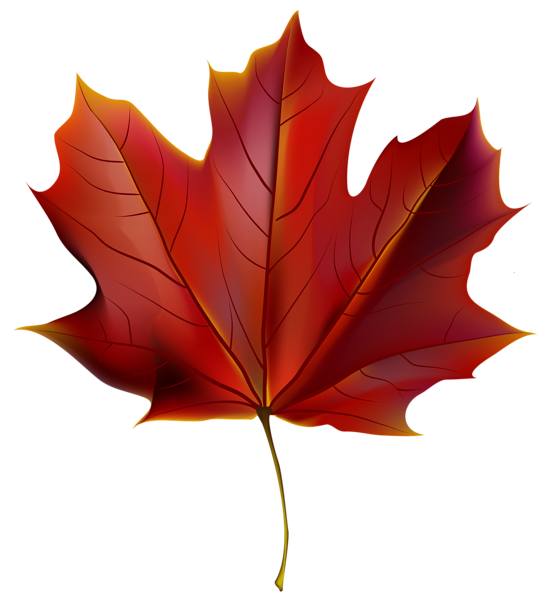 This png image - Beautiful Red Autumn Leaf PNG Clipart Image, is available for free download