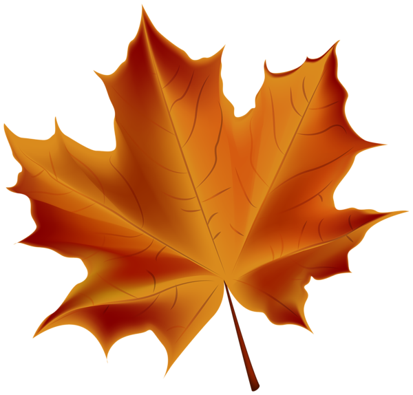 This png image - Beautiful Red Autumn Leaf Transparent PNG Clip Art Image, is available for free download