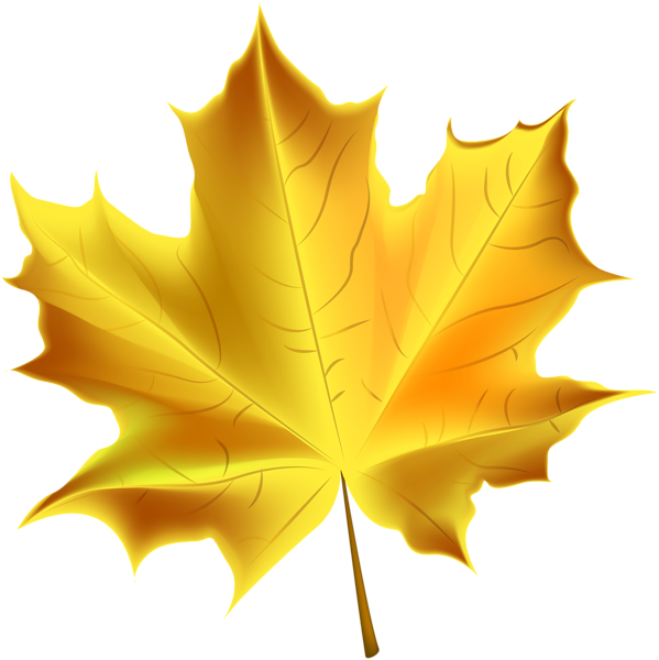 Beautiful Yellow Autumn Leaf Transparent PNG Clip Art ...