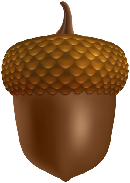 This png image - Brown Acorn PNG Clipart, is available for free download