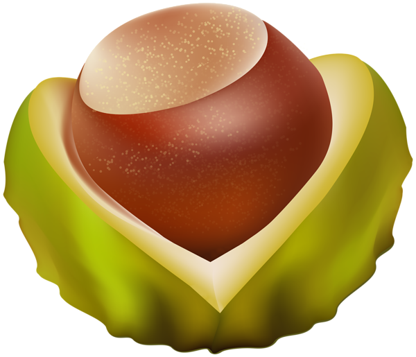 This png image - Chestnut PNG Transparent Image, is available for free download