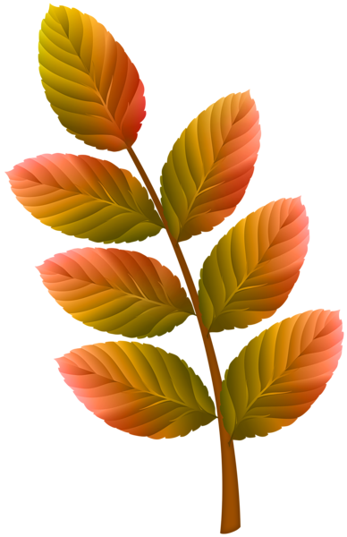 This png image - Colorful Autumn Branch PNG Clipart, is available for free download