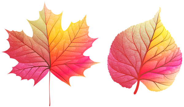 This png image - Colorful Autumn Leaves PNG Clip Art Image, is available for free download