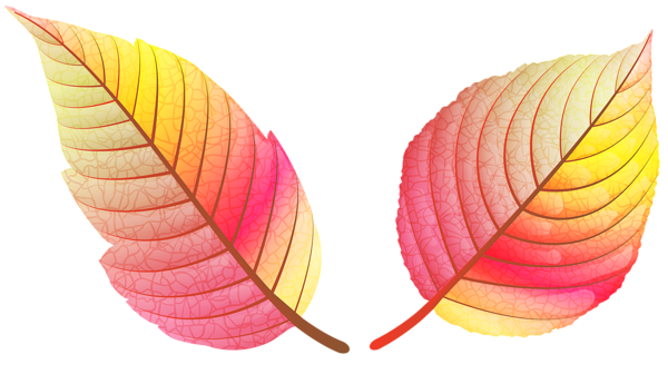 This png image - Colorful Fall Leaves PNG Clip Art Image, is available for free download